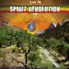Spirit Revolution - Time Has Come